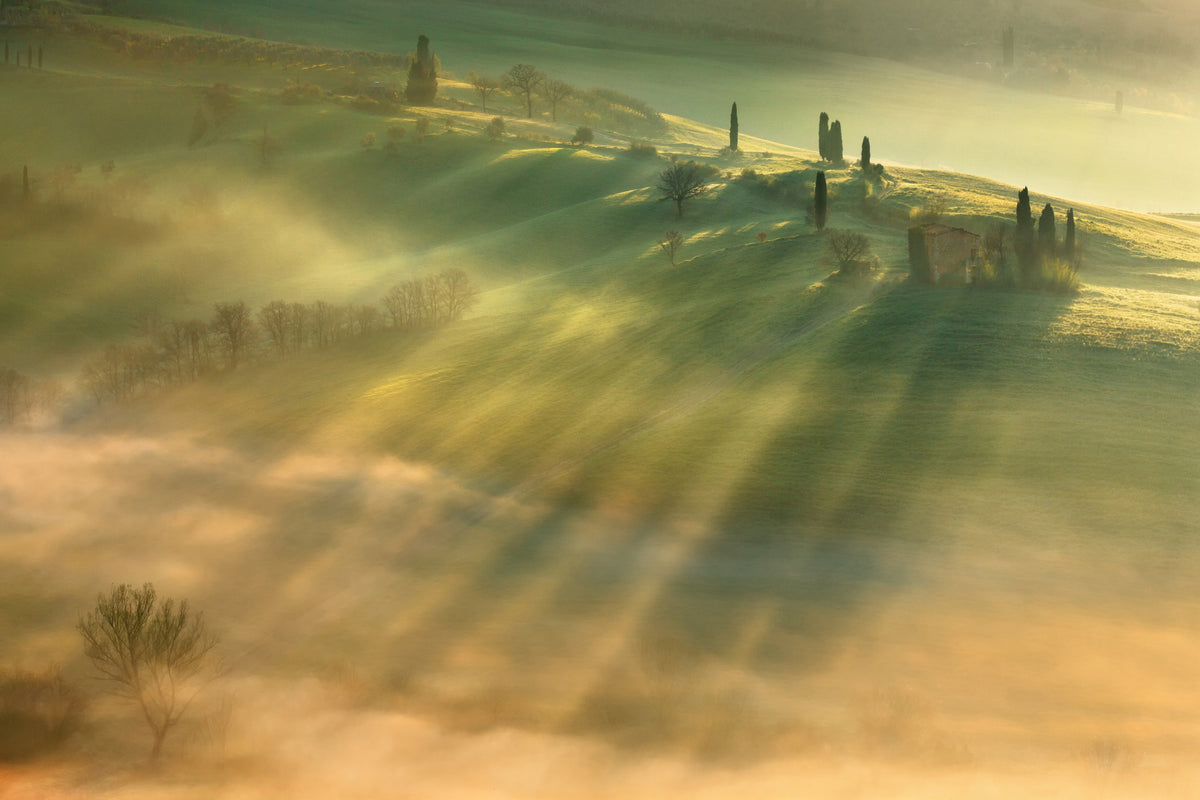 framedposter-print-mist-x