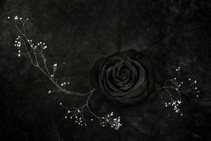 3-piece-acrylic-print-rose-noire