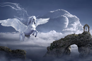 framedposter-print-pegasus