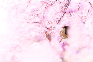 canvas-print-sakura