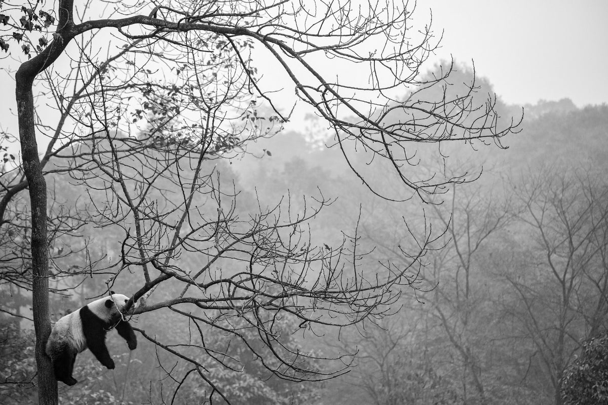 canvas-print-relax