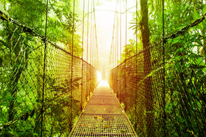 aluminium-print-suspension-bridge