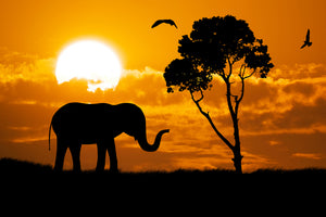 framedposter-print-dreamy-africa