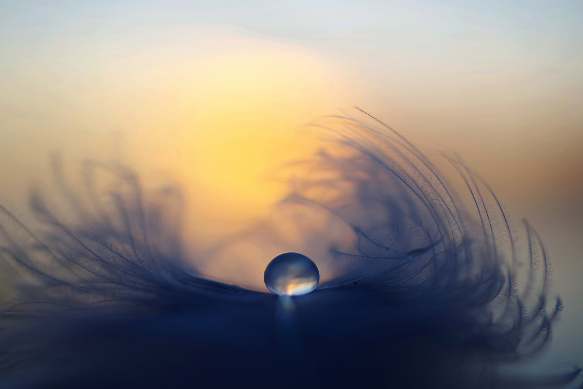 aluminium-print-morning-ii