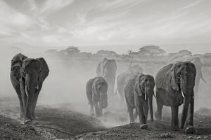 3-piece-aluminium-print-sequence-of-emotion