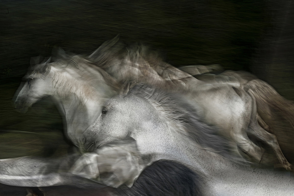 canvas-print-into-the-dark