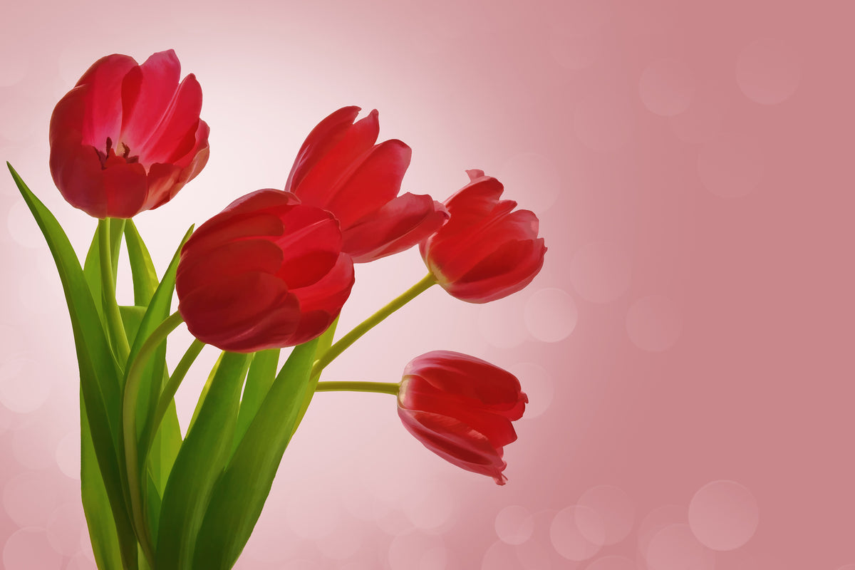 canvas-print-red-tulips-bouquet