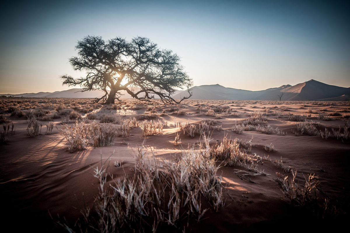 canvas-print-longing-africa