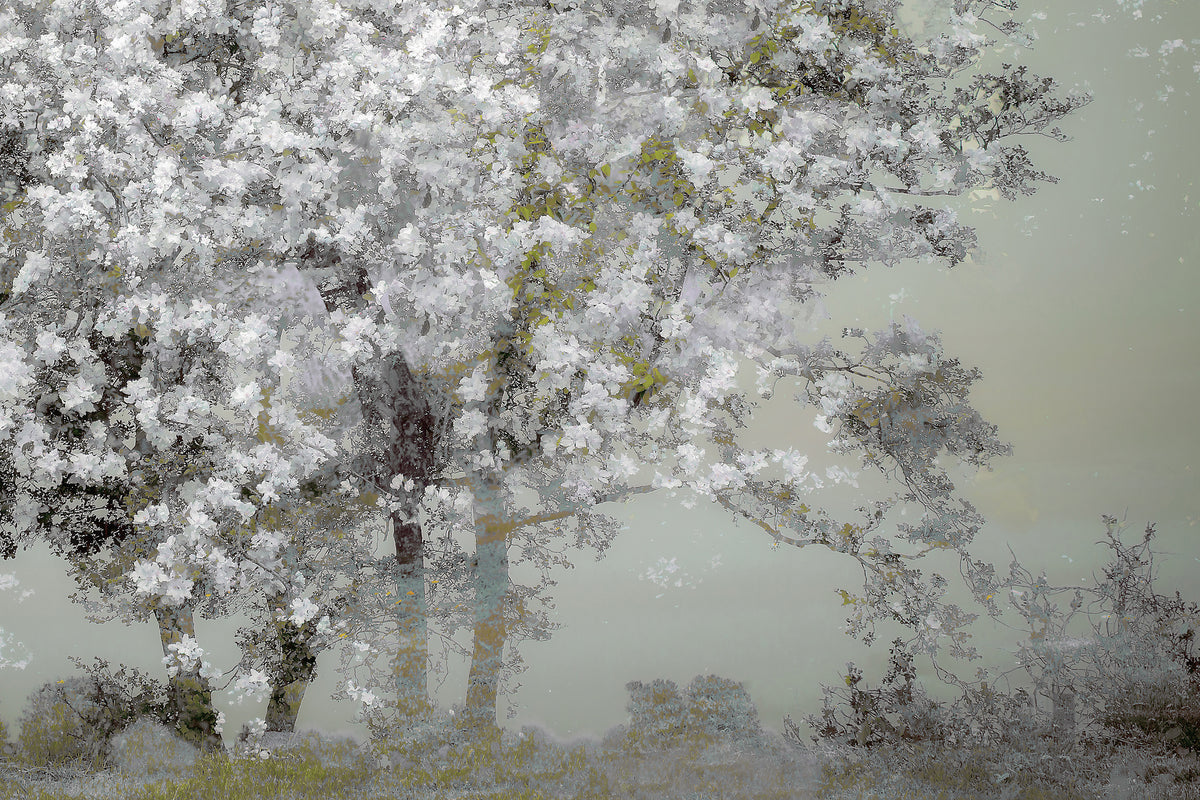 aluminium-print-spring-xep