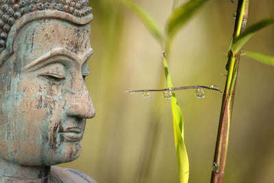 poster-print-xl-buddha-head
