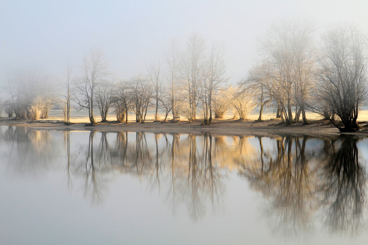 aluminium-print-january-morning