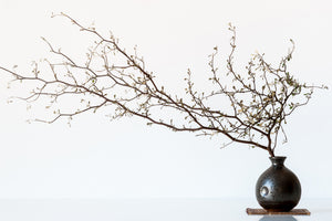 framedcanvas-print-vase-and-branch-x