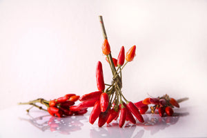 framedposter-print-a-bouquet-of-chili