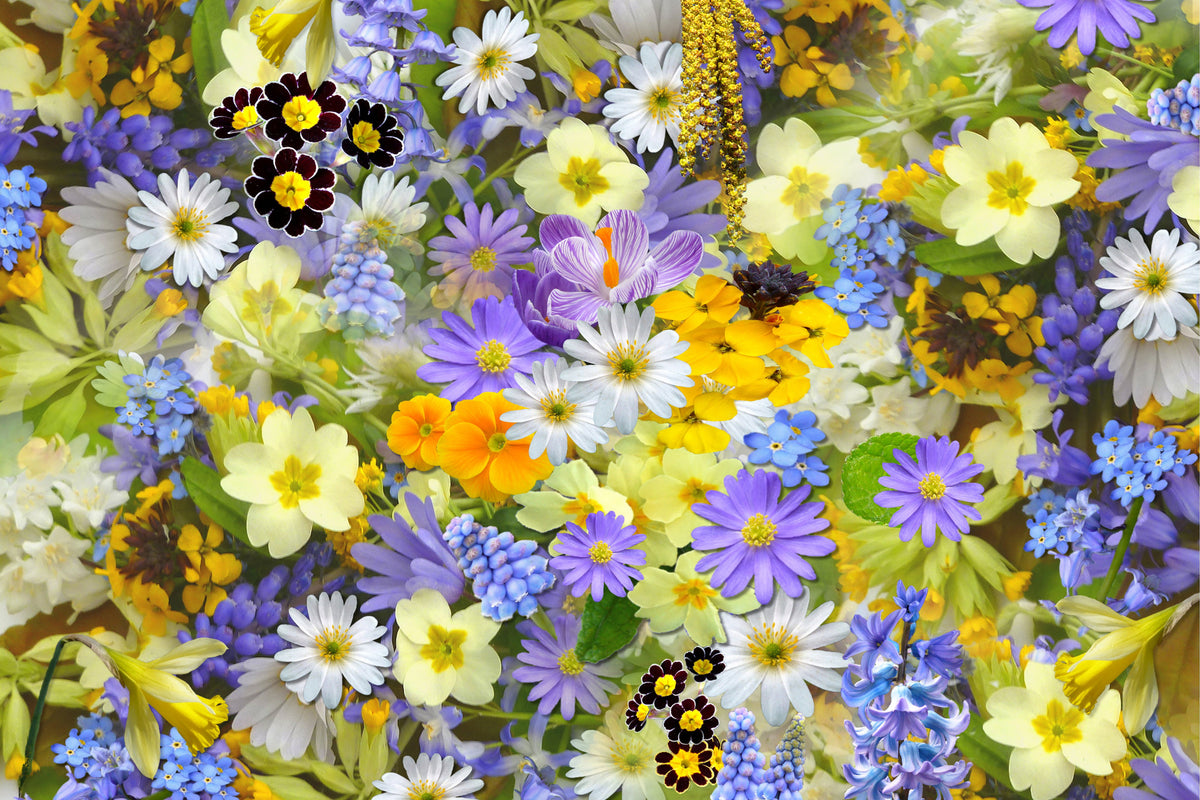 modern-3-piece-aluminium-print-fresh-spring-flowers