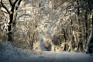 3-piece-canvas-print-a-winter-dream