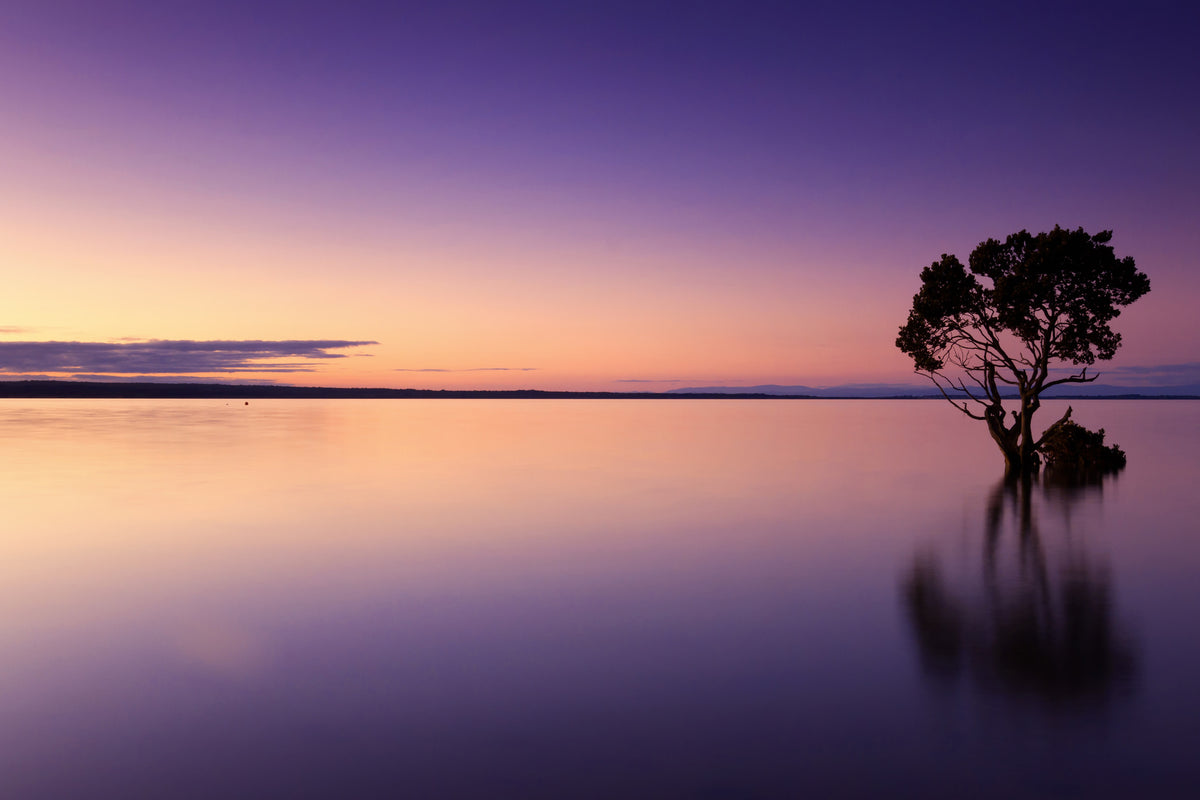 acrylic-print-sunset-on-the-tree-in-the-water