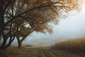 poster-print-october-morning-x