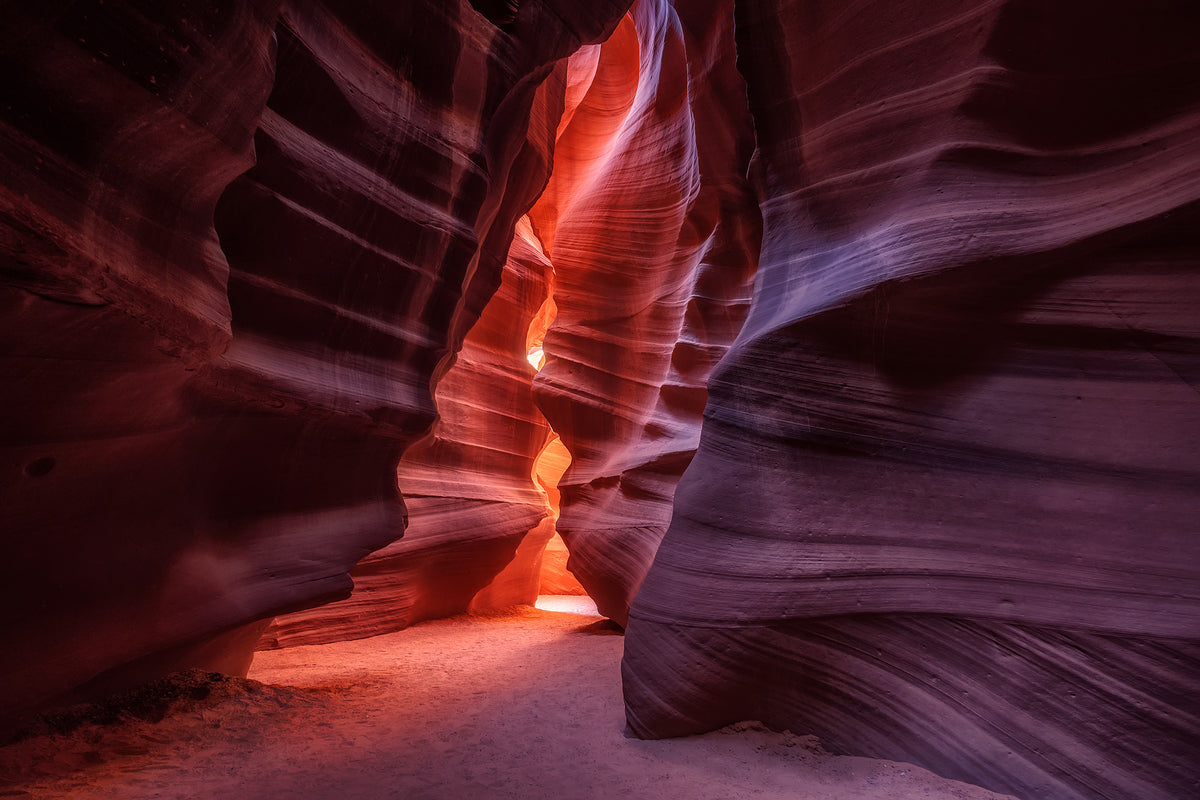 canvas-print-antelope-x