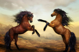 framedposter-print-two-wild-horses