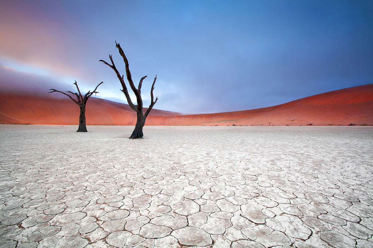 canvas-print-mist-over-deadvlei-x