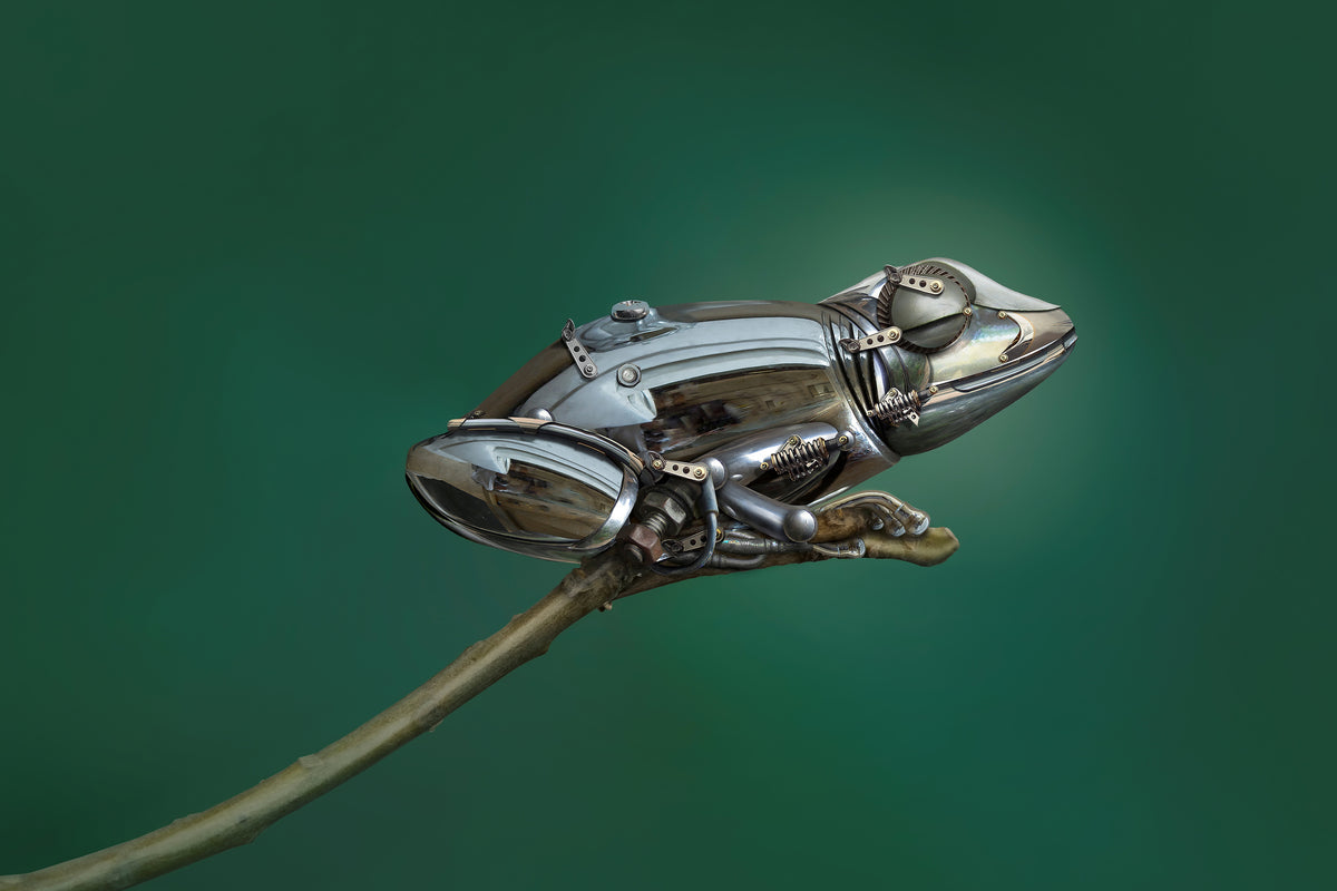 aluminium-print-frog