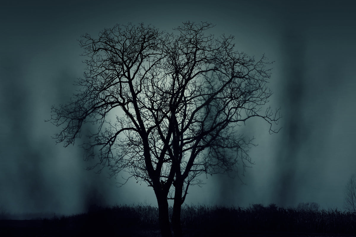 3-piece-canvas-print-the-tree-in-darkness