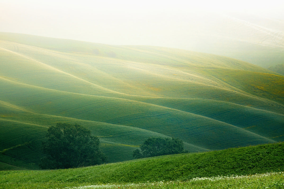 acrylic-print-tuscany