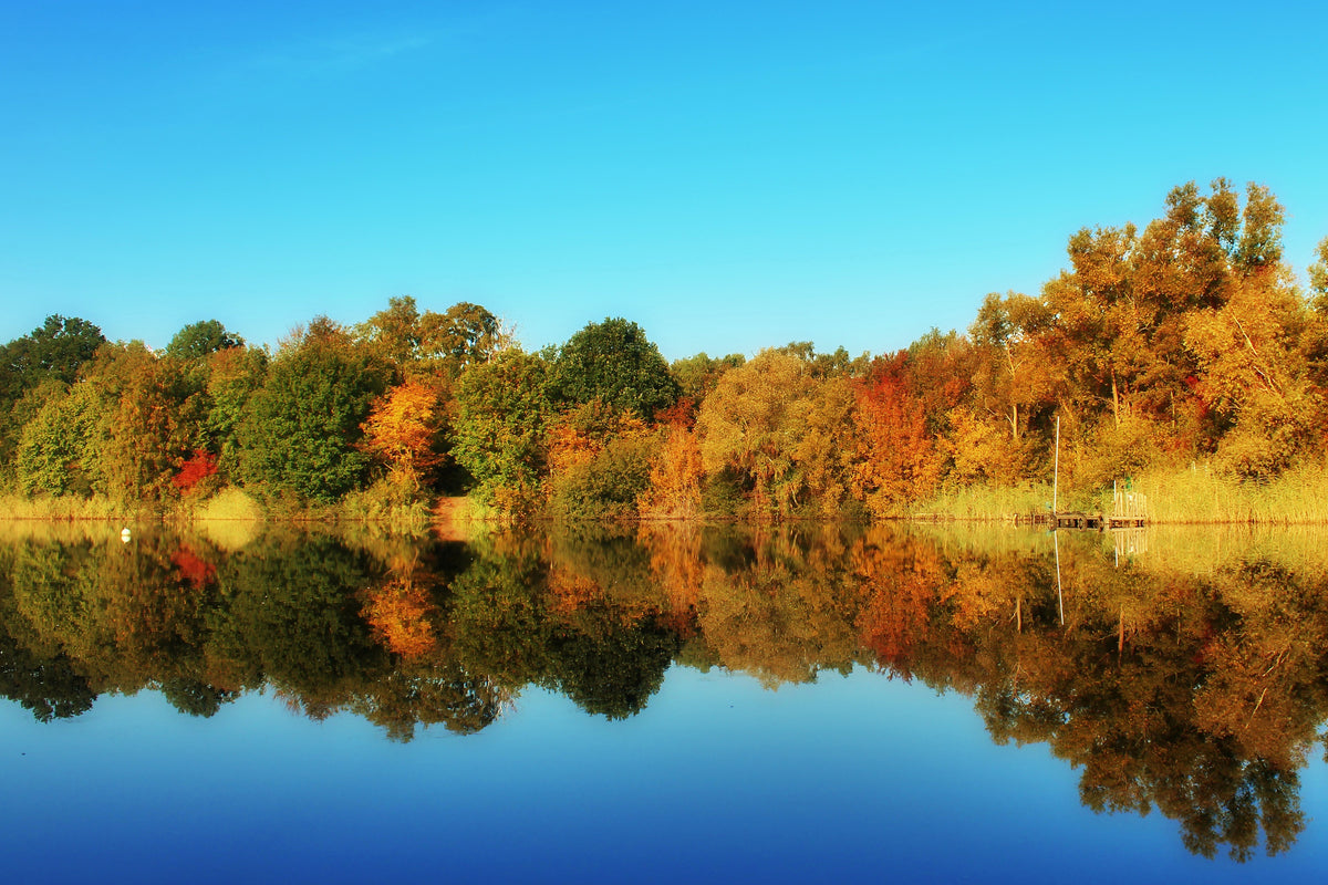 3-piece-aluminium-print-autumn-reflections