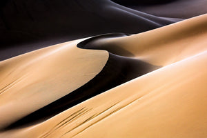 canvas-print-s-x