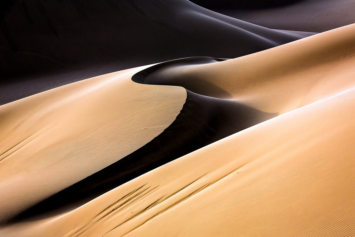 canvas-print-s-x