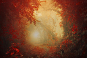framedcanvas-print-personal-journey