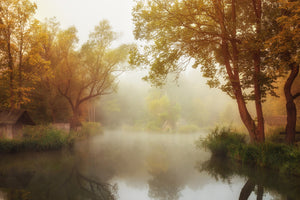 aluminium-print-foggy-autumn-x