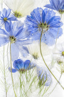 framedcanvas-print-cosmos-blue