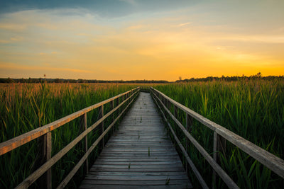 poster-print-sunset-in-the-fields