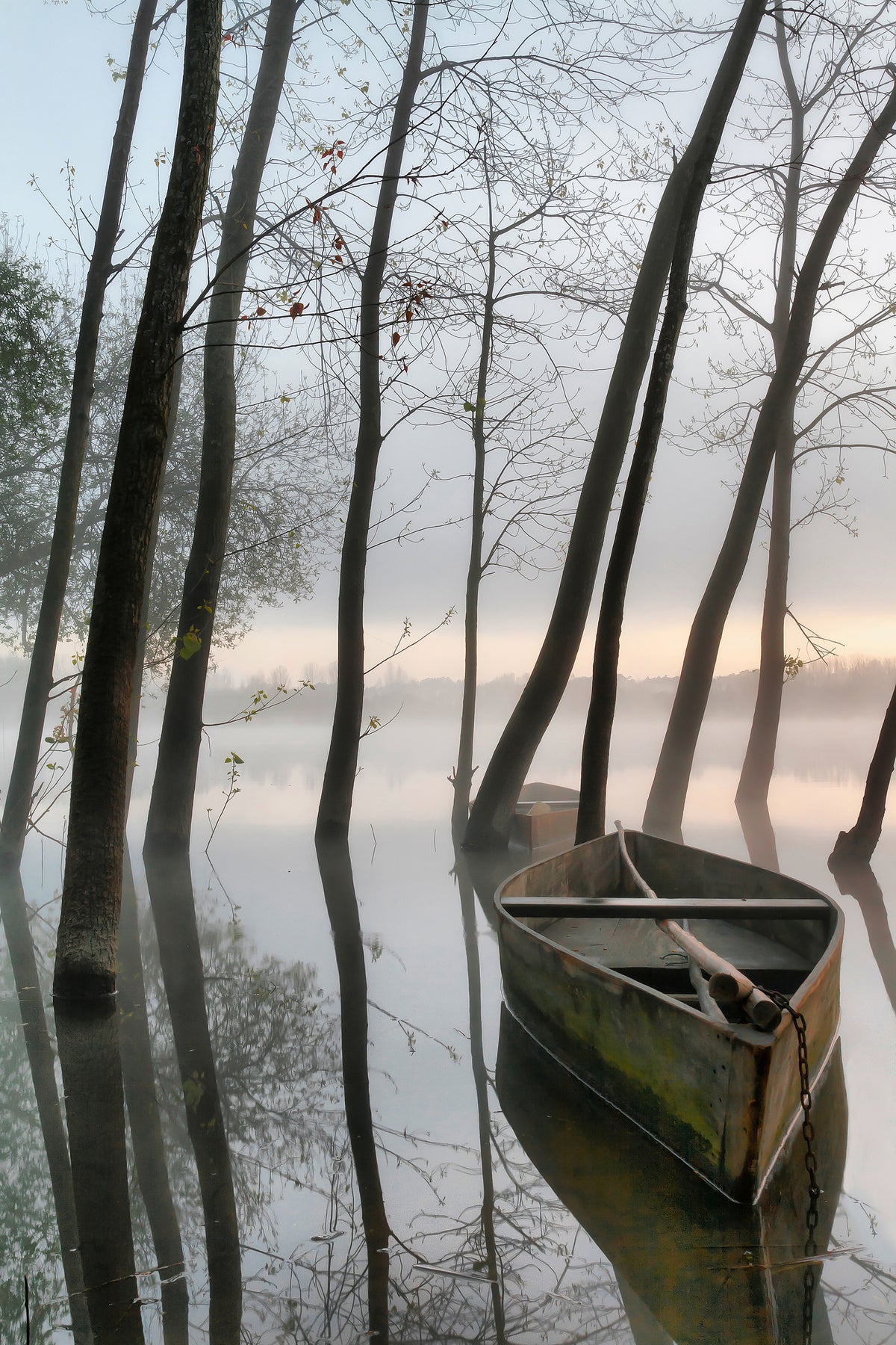 poster-print-serene-dawn-x