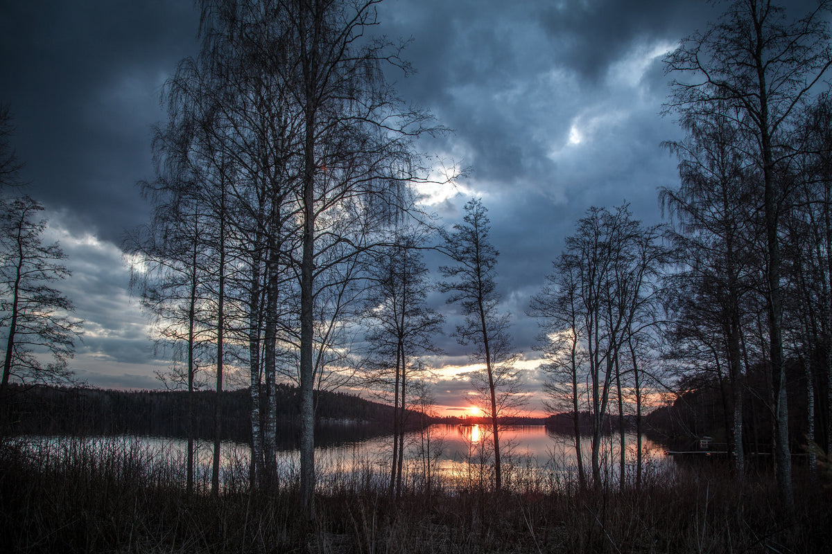 3-piece-aluminium-print-trees-at-the-lake