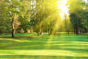 framedcanvas-print-in-the-park