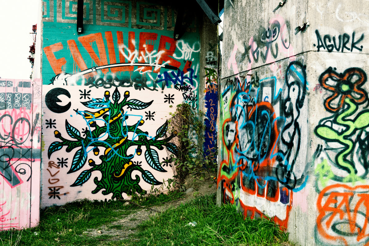 acrylic-print-graffiti-in-the-backyard