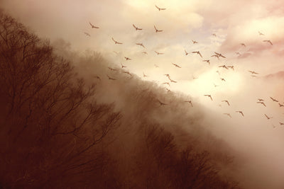 poster-print-departure