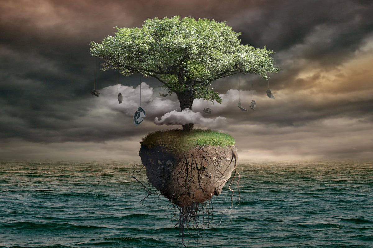 framedposter-print-lonely-tree
