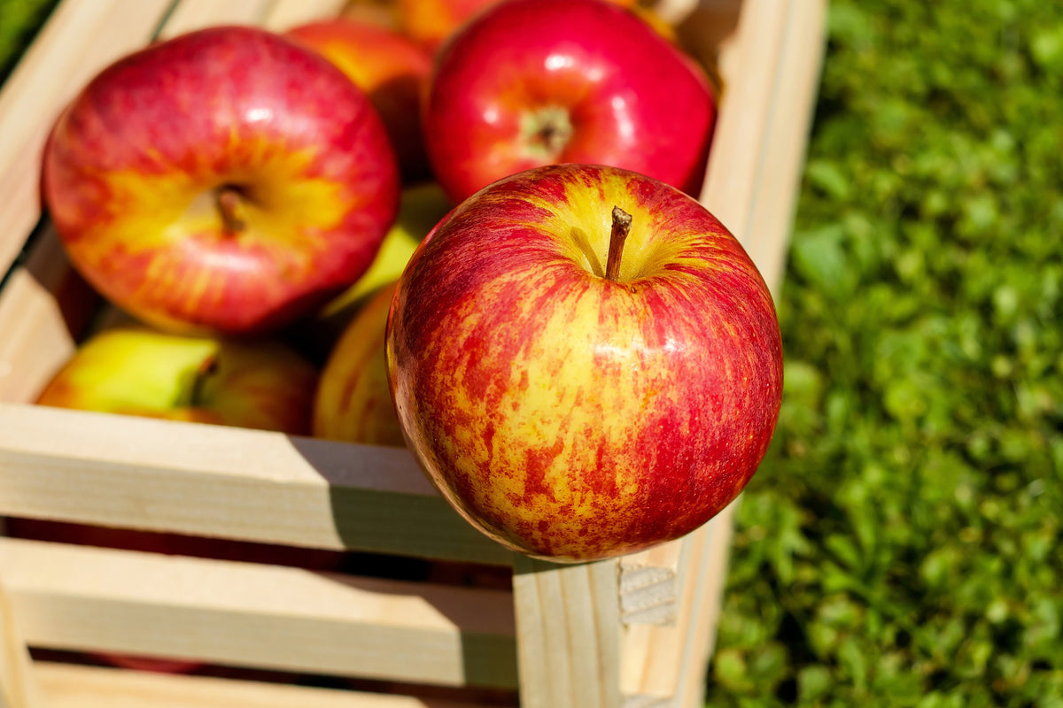 aluminium-print-box-of-apples