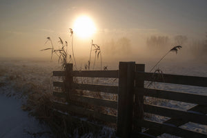 framedposter-print-winter-mood