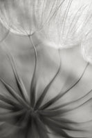 acrylic-print-into-the-heart-x