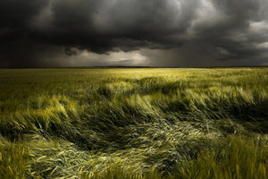 aluminium-print-summer-weather