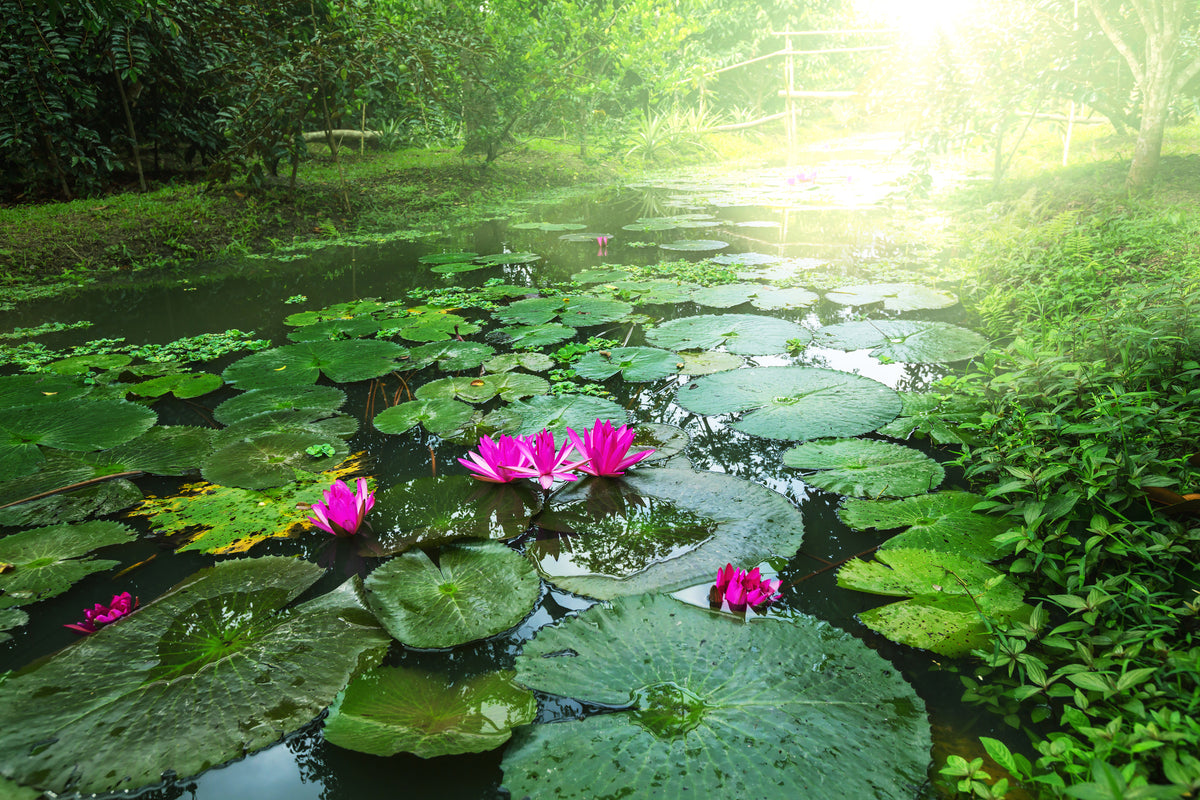 3-piece-canvas-print-garden-pond