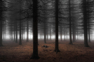 framedcanvas-print-silence-ii