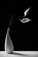 framedposter-print-passionately-x