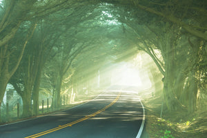 acrylic-print-the-avenue