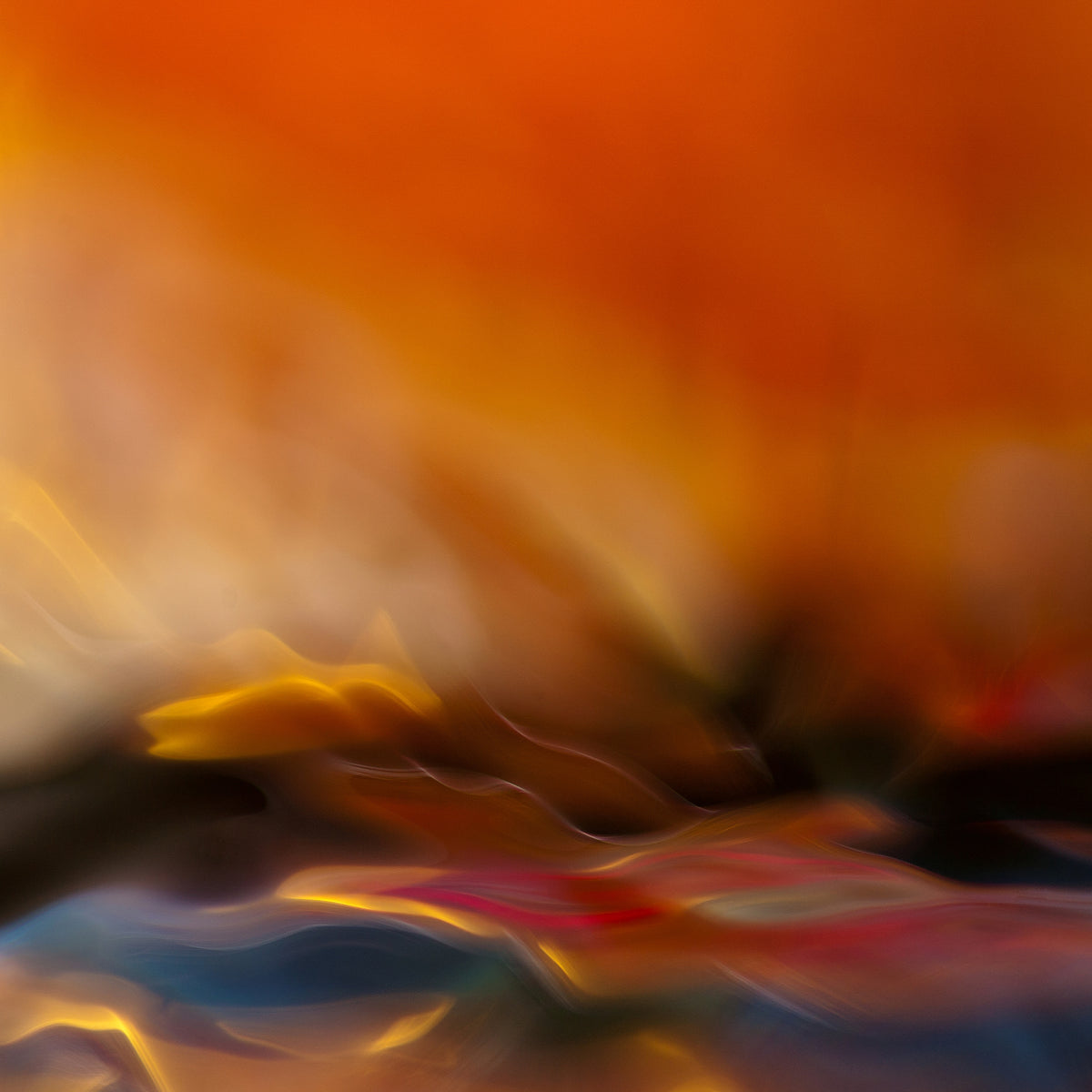 aluminium-print-red-fantasy