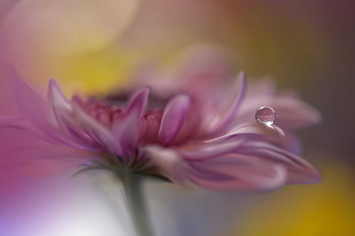 canvas-print-beyond-words